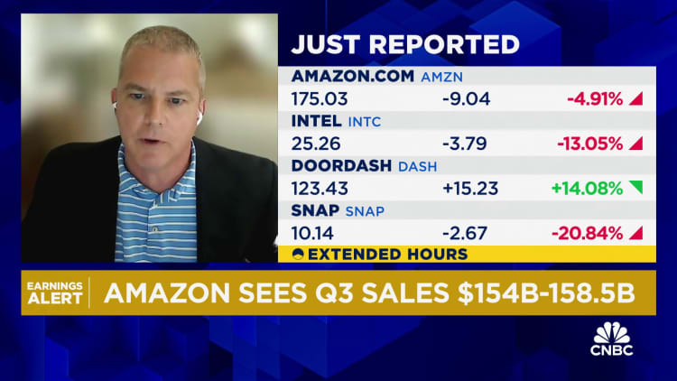 A pullback in Amazon is a buying opportunity, says Wedbush's Scott Devitt