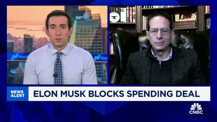 Surprised how much influence Elon Musk and Trump already have on government: Tenacity's Ben Narasin